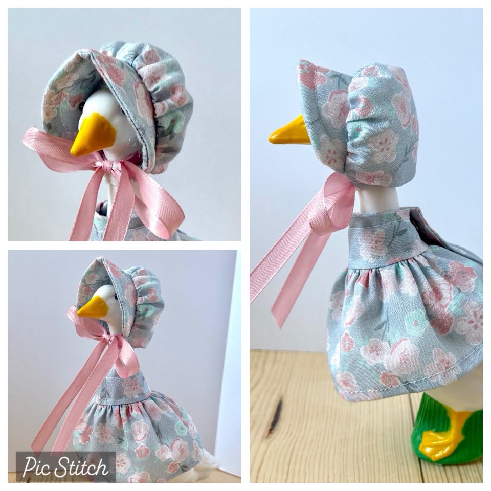 7" Desk Goose Dress and Bonnet