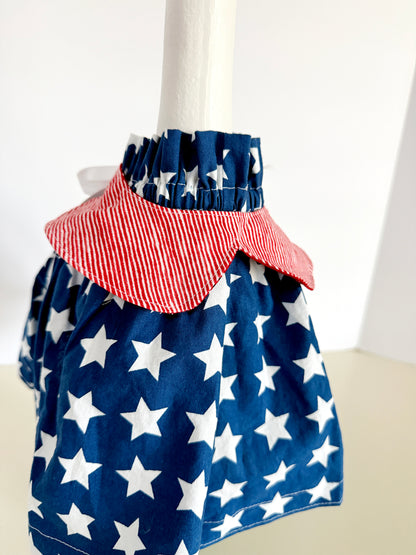 17-21" Blue Star Dress and Reversible Colalr Porch Goose